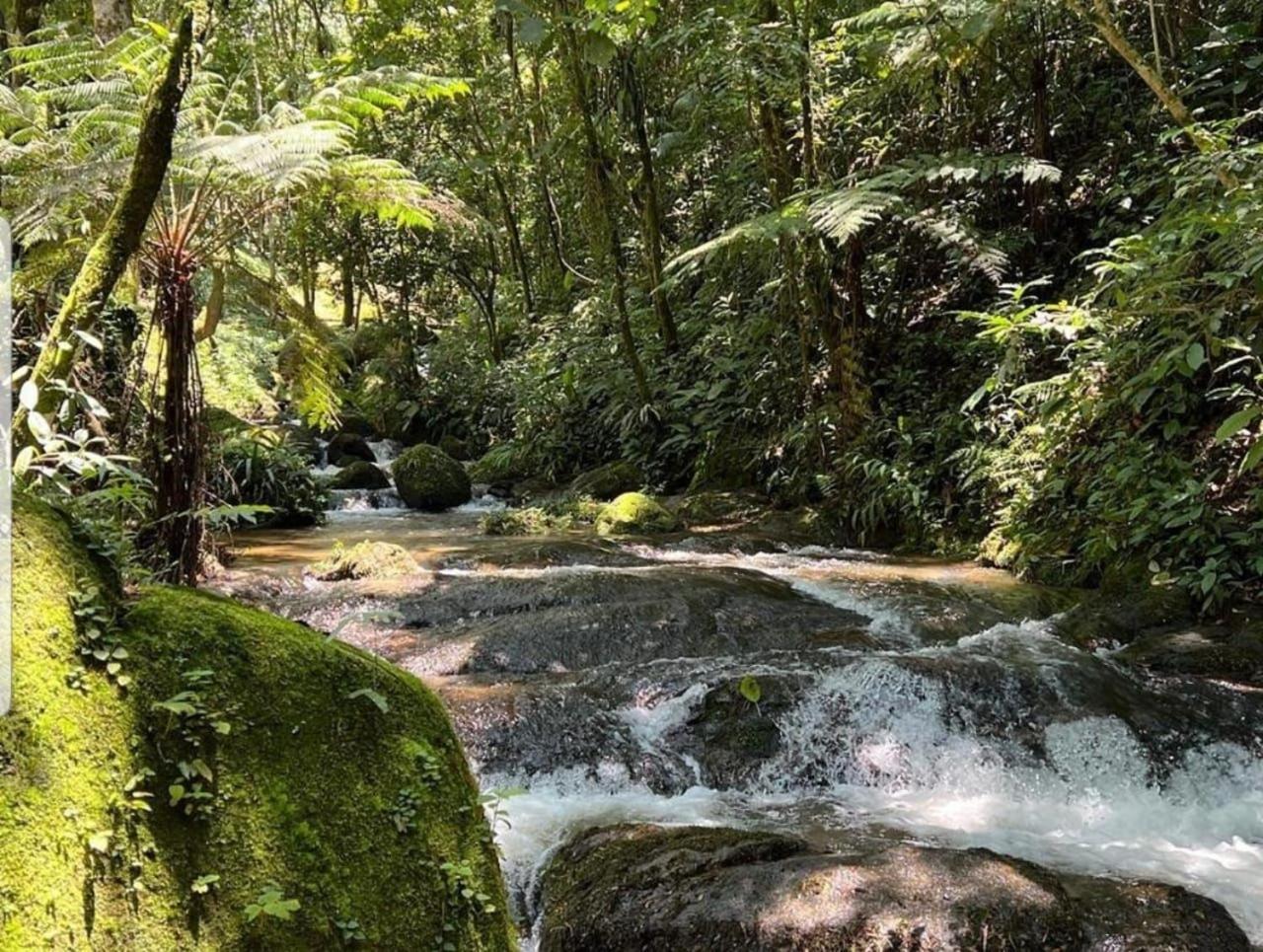 Pousada Caminhos De Gaia São Francisco Xavier Eksteriør bilde