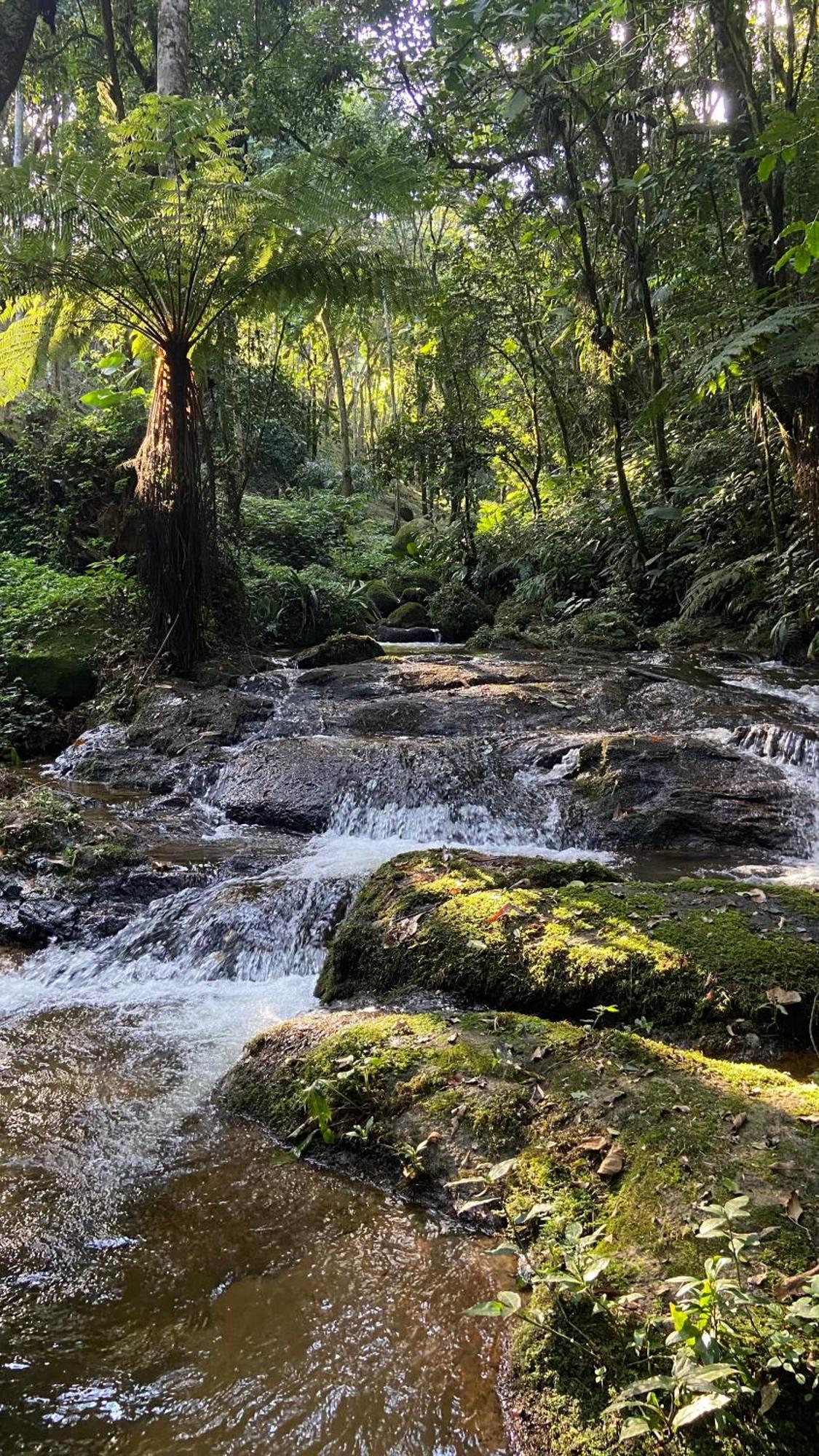 Pousada Caminhos De Gaia São Francisco Xavier Eksteriør bilde